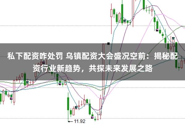 私下配资咋处罚 乌镇配资大会盛况空前：揭秘配资行业新趋势，共探未来发展之路