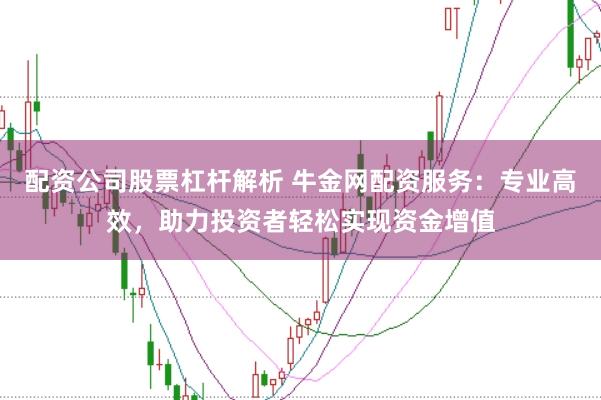 配资公司股票杠杆解析 牛金网配资服务：专业高效，助力投资者轻松实现资金增值