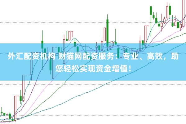外汇配资机构 财猫网配资服务：专业、高效，助您轻松实现资金增值！