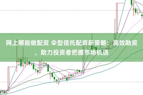 网上哪能做配资 伞型信托配资新策略：高效融资，助力投资者把握市场机遇