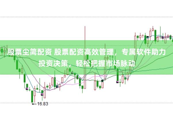 股票尘简配资 股票配资高效管理，专属软件助力投资决策，轻松把握市场脉动