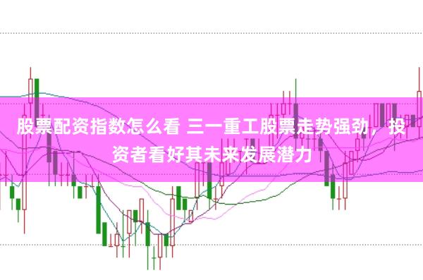 股票配资指数怎么看 三一重工股票走势强劲，投资者看好其未来发展潜力