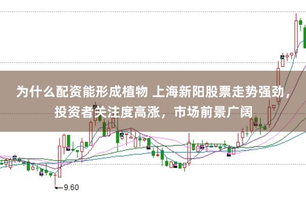 为什么配资能形成植物 上海新阳股票走势强劲，投资者关注度高涨，市场前景广阔