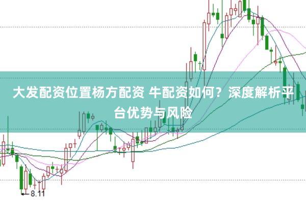 大发配资位置杨方配资 牛配资如何？深度解析平台优势与风险