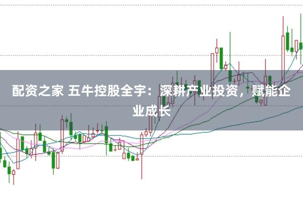 配资之家 五牛控股全宇：深耕产业投资，赋能企业成长