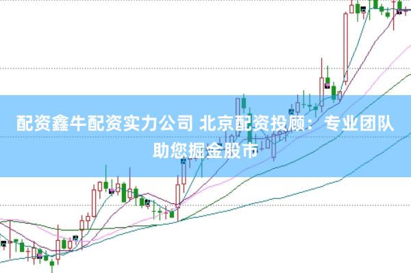 配资鑫牛配资实力公司 北京配资投顾：专业团队助您掘金股市