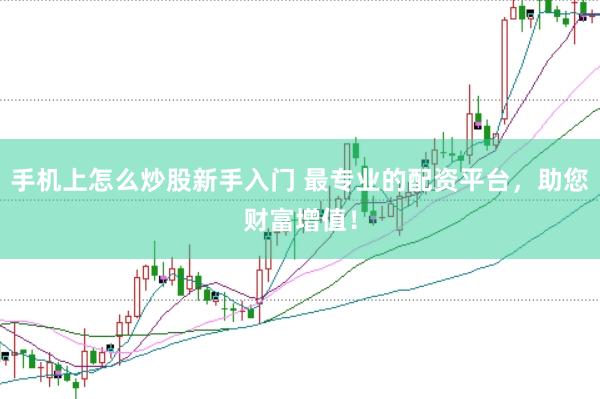 手机上怎么炒股新手入门 最专业的配资平台，助您财富增值！