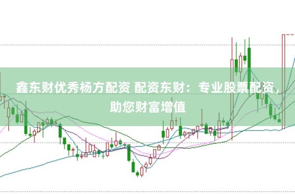 鑫东财优秀杨方配资 配资东财：专业股票配资，助您财富增值