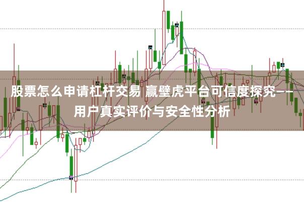 股票怎么申请杠杆交易 赢壁虎平台可信度探究——用户真实评价与安全性分析