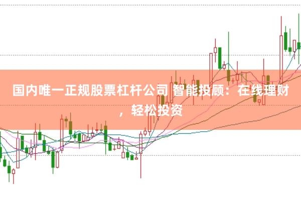 国内唯一正规股票杠杆公司 智能投顾：在线理财，轻松投资
