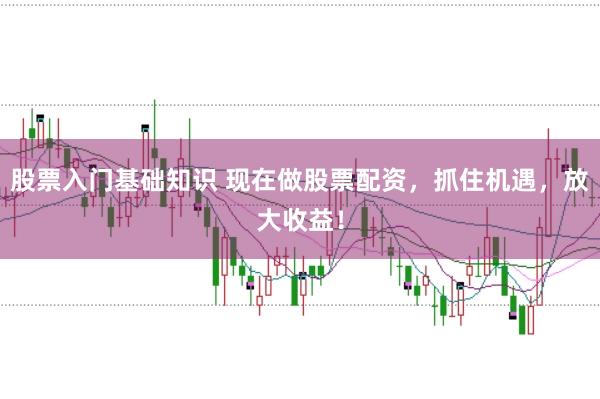 股票入门基础知识 现在做股票配资，抓住机遇，放大收益！