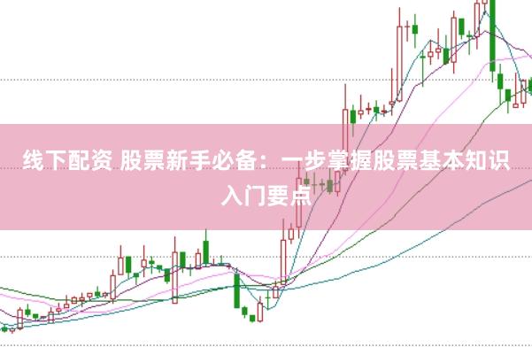 线下配资 股票新手必备:一步掌握股票基本知识入门要点