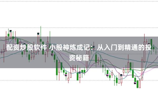 配资炒股软件 小股神炼成记：从入门到精通的投资秘籍